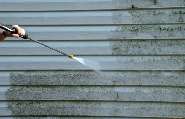 Best Patio and Deck Pressure Washing  in Kingstown, MD