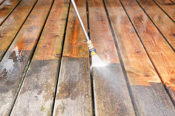 Best Fence Cleaning  in Kingstown, MD